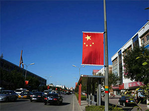 四通八达的公交线网