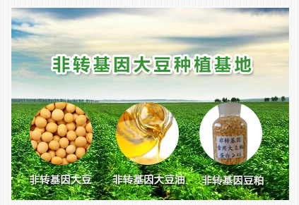 非轉基因大豆種植基地